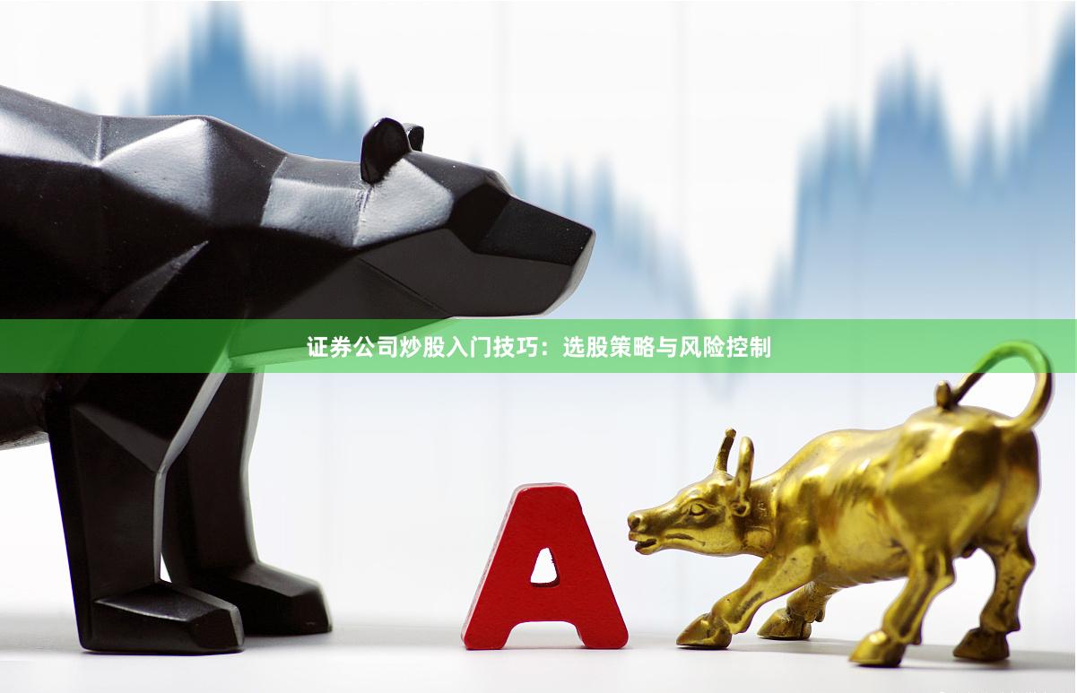 证券公司炒股入门技巧：选股策略与风险控制