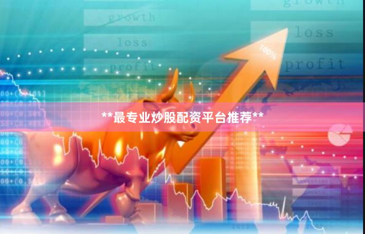 **最专业炒股配资平台推荐**